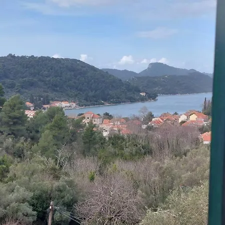 Orange Tree House بيت للعطل *