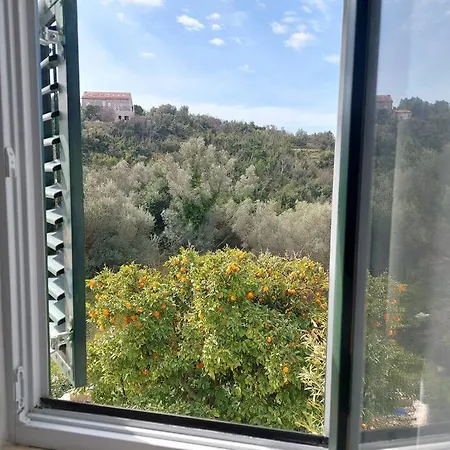 Orange Tree House Сasa de vacaciones *