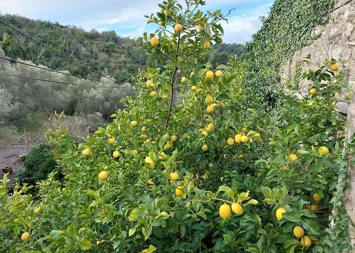 Orange Tree House * Šipanska Luka