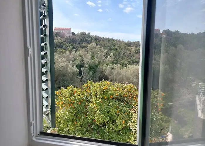 Orange Tree House بيت للعطل *